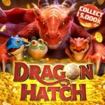 dragon-hatch_